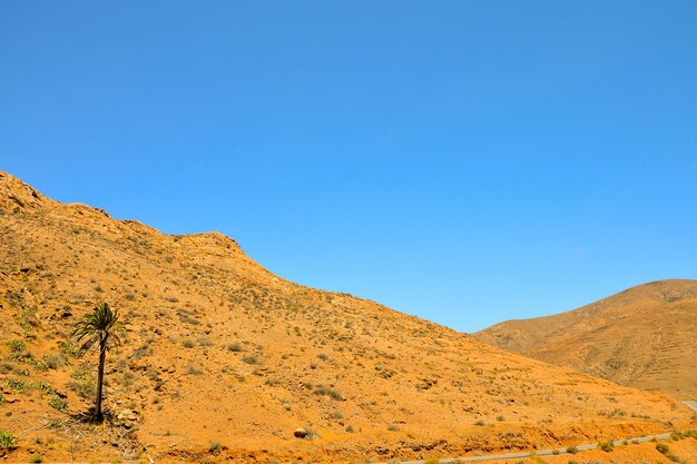 Trockene Wüstenlandschaft