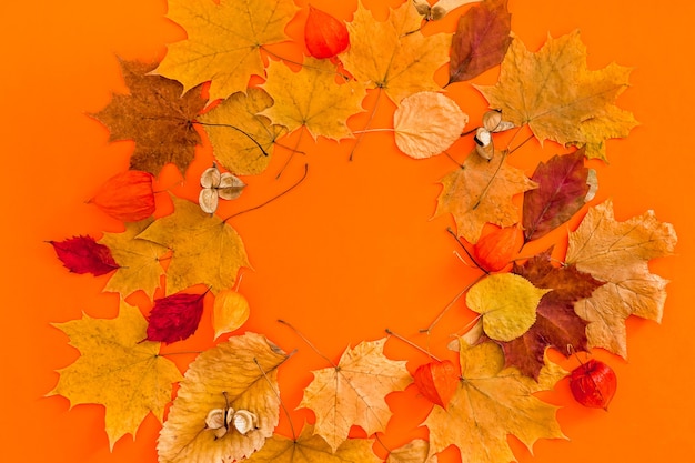 Trockener Blätterkranzrahmen auf fettem orangefarbenem Hintergrund