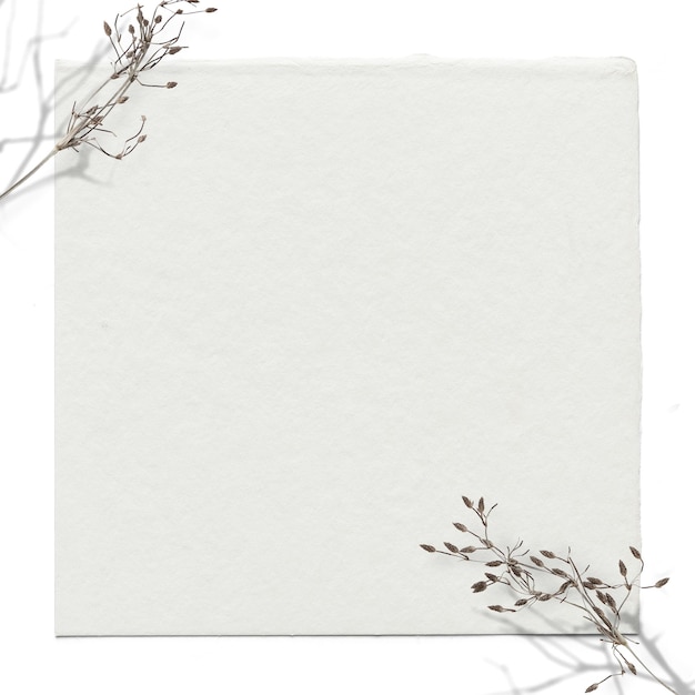 Trockener Blumenzweig png-Rahmen
