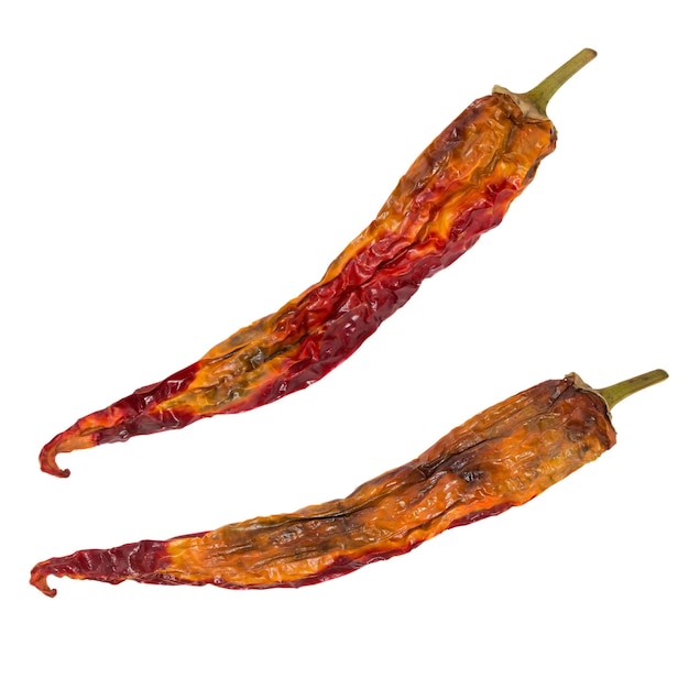 Trockener Chili-Pfeffer isoliert Getrocknetes Gemüse Gruppe von Paprika