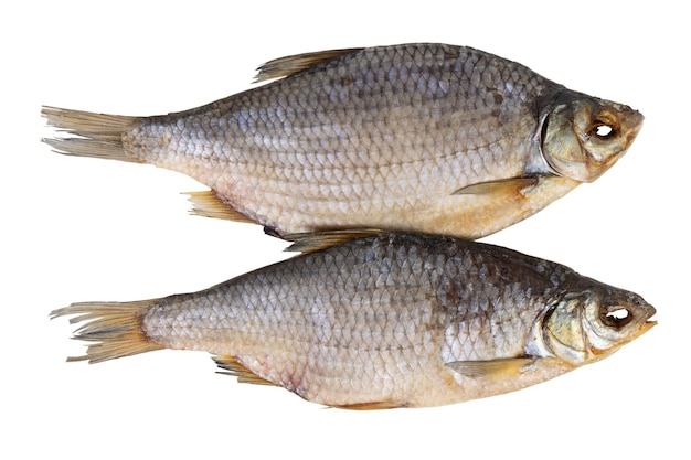 Trockener getrockneter Fisch isoliert auf weißem Hintergrund