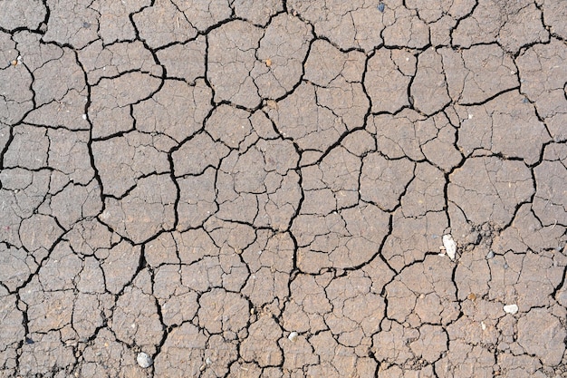 Trockener Schlamm rissige Bodenstruktur Hintergrund der Dürrezeit Trockenes und rissiges Land, das aufgrund fehlenden Regens trocken ist Auswirkungen des Klimawandels