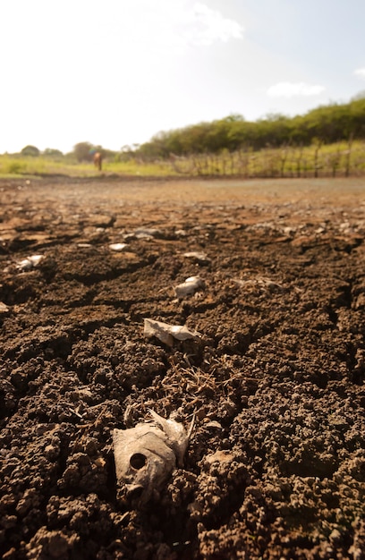 Trockener und rissiger Boden durch Dürre in Paraiba, Brasilien. Klimawandel und Wasserkrise.