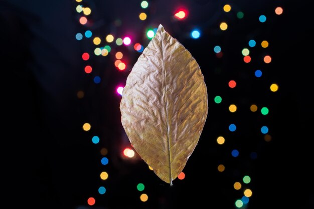 Trockenes Blatt auf einem Bokeh-Licht auf dunklem Hintergrund