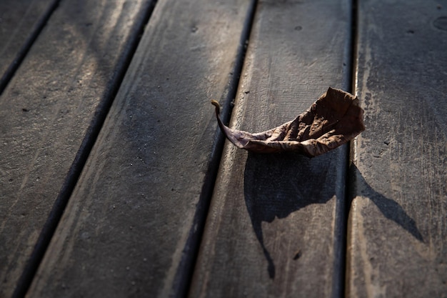 trockenes Blatt auf Holzboden Herbstnachmittag Nahaufnahme Foto Platz für Text