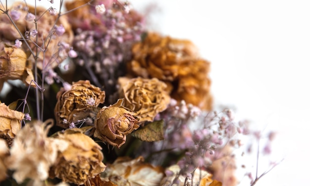 Trockenes Bouquet. Nahaufnahmebild von getrockneten Blumen in einem Blumenstrauß. Konzept von Leben und Tod. Verwelkte Blume