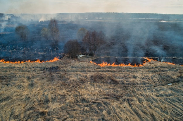 Trockenes Gras, das auf einem Feld brennt