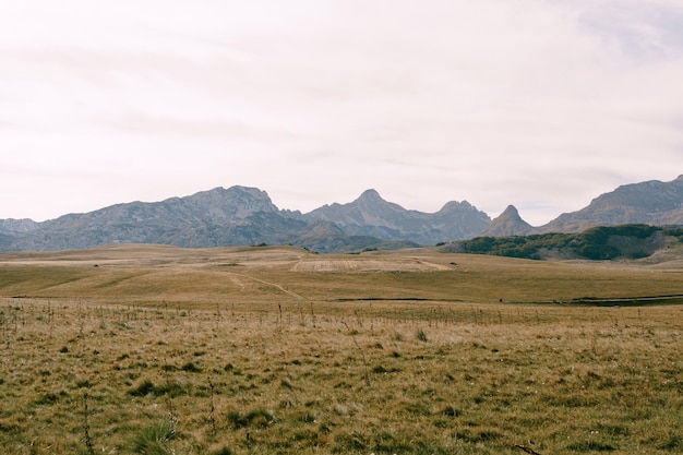 Trockenes Gras in einem Tal mit Bergen im Hintergrund auf dem Sattelpass