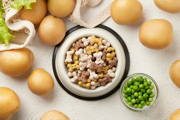 Trockenes veganes vegetarisches Lebensmittelkonzept des Hundes rohes Gemüse und Grün nahe Schüssel mit Haustierfutter