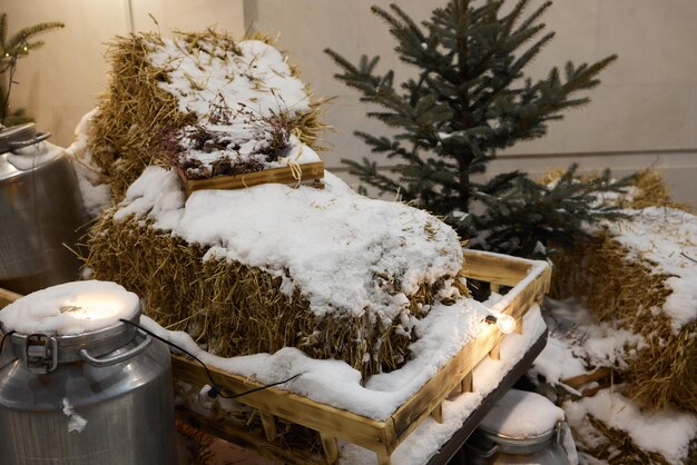 Trocknen Sie das Gras des letzten Jahres unter dem schmelzenden Schnee.