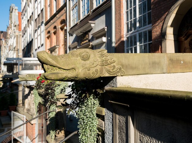 Foto tromba tallada de casa antigua en gdansk