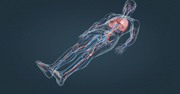 Trombosis venosa profunda y embolismo pulmonar