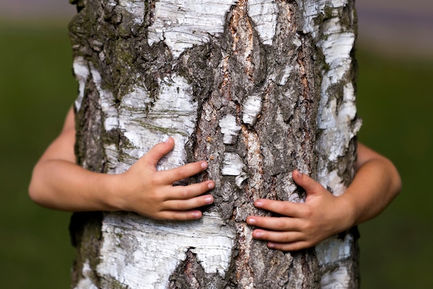 Foto tronco de árbol abrazado por pequeñas manos de niño.