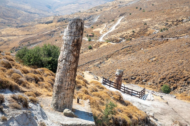 Un tronco de árbol fosilizado del Geoparque de la UNESCO "Bosque petrificado de Sigri" en la isla de Lesbos en Grecia. Grecia Lesbos bosque fósil