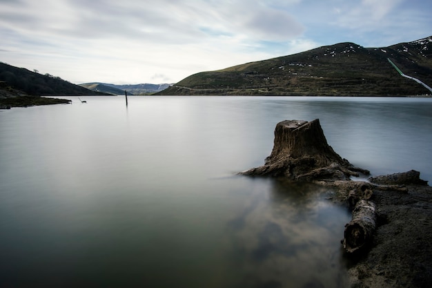 Tronco de árbol en un lago tranquilo en invierno, en Cantabria, al norte de España