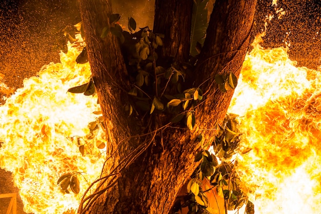 Foto tronco de árvore a arder à noite