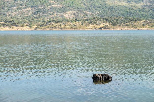 Tronco de uma velha árvore flutuando na margem de um lago com água calma e reflexo