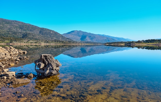 Tronco de uma velha árvore na margem de um lago com águas calmas e reflexo das montanhas