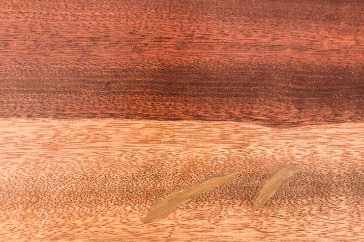 Foto tronco de madera cortado de textura de madera