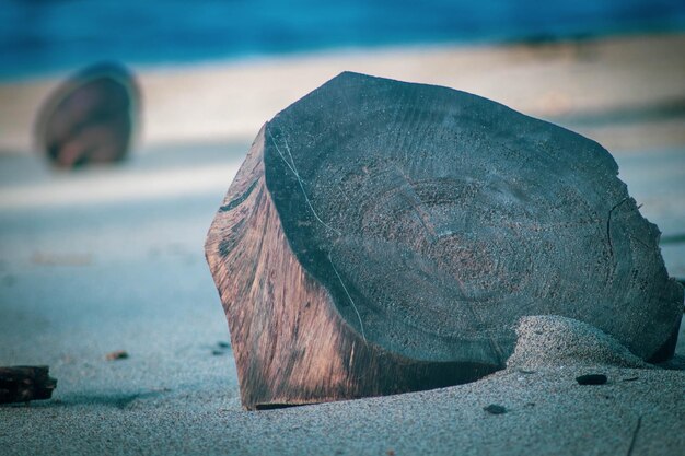 Foto tronco de madera en la playa de arena