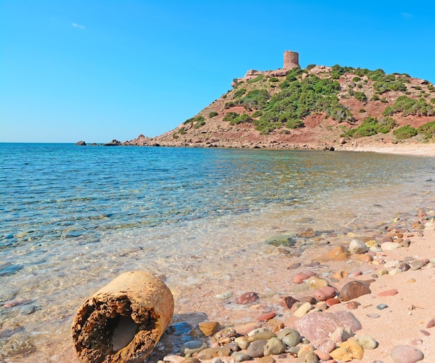 Tronco seco por porticciolo costa sardenha