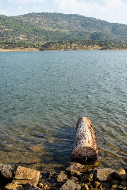 Tronco de un viejo árbol flotando en la orilla de un lago con aguas tranquilas