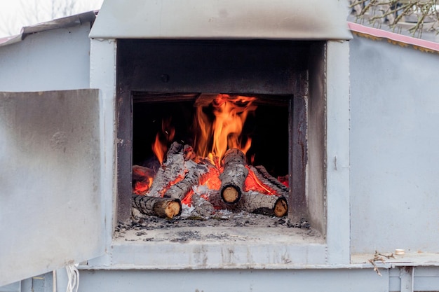 Troncos de abedul ardientes vivos en la chimenea en un frío día de invierno