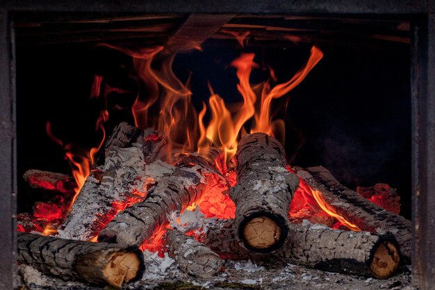 Troncos de abedul ardientes vivos en la chimenea en un frío día de invierno