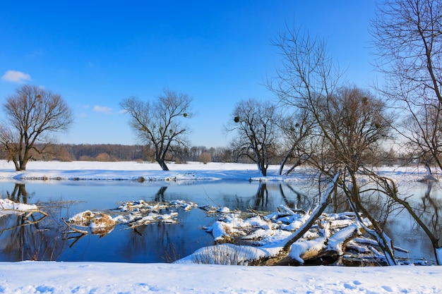 Troncos de árboles cubiertos de nieve en la superficie del río de invierno