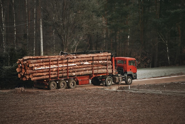 Troncos de árvore de transporte de caminhão O caminhão madeireiro carrega toras na estrada no inverno