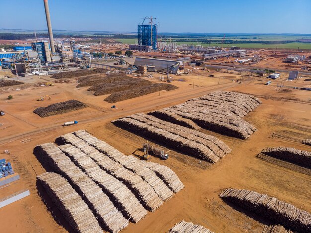 Troncos de eucalipto en una planta de celulosa soluble y celulosa especial