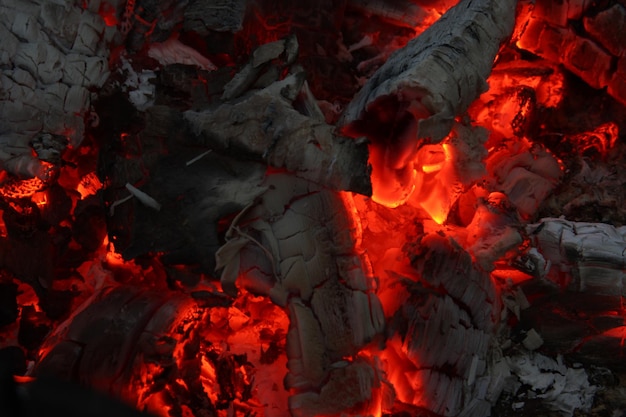 Troncos humeantes quemados en un fuego vivo de cerca el fondo atmosférico con el fondo de la llama