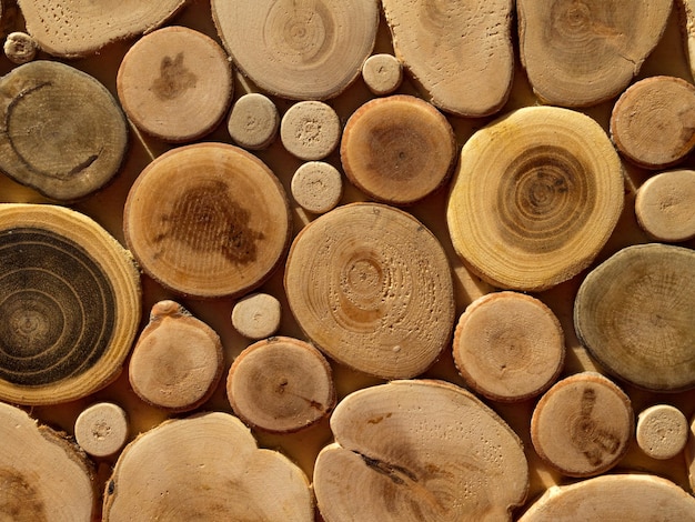Troncos de madera apilados como fondo de madera de textura