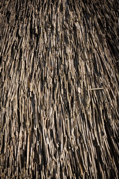 Troncos de madera de una casa antigua. De cerca. Textura de madera gris natural degradada. Fondo. Foto vertical horizontal. Foto de alta calidad