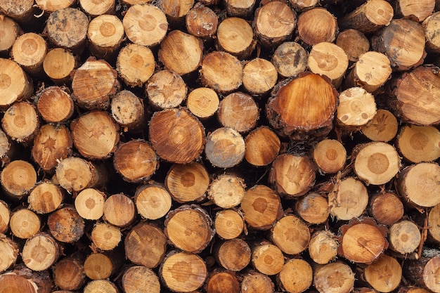 Troncos de madera cortados y apilados que cubren todo el marco de la fotografía