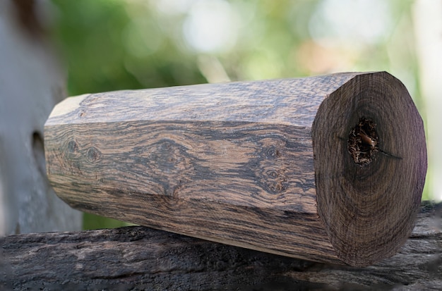 Troncos de madera negra de Birmania sobre fondo borroso