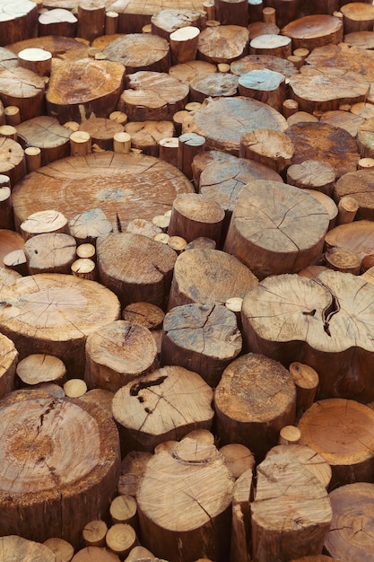 Troncos de madera de teca dañados viejos con grietas y anillos anuales. Fondo de madera