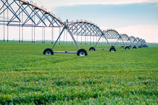 Tropfbewässerungssystem im Feld