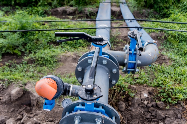 Tropfbewässerungssystem. Wassersparendes Tropfbewässerungssystem, das in einem jungen Karottenfeld verwendet wird.