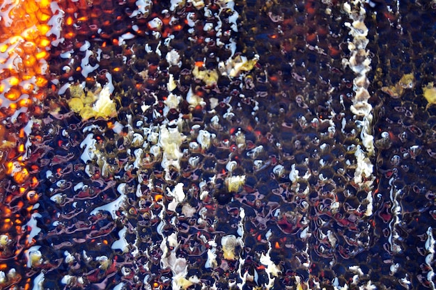 Tropfen von Bienenhonig aus sechseckigen Honigstockern, gefüllt mit goldenem Nektar Honigstock Sommerkomposition, bestehend aus Tropfen von natürlichem Honig Tropfen auf Wachsrahmen Biene Tropfen von Bienenhonig Tropfen in Honigstöcken