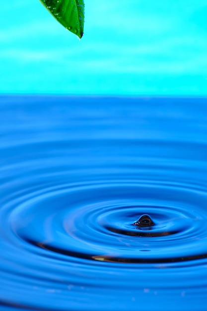 Tropfendes Wasser vom grünen Blatt ins Wasser