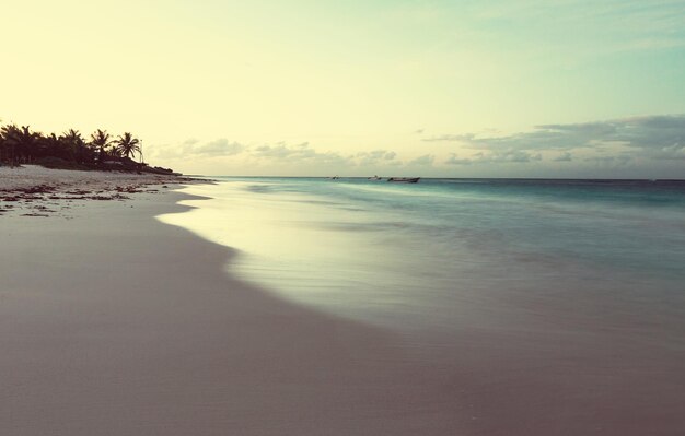 Tropical Beach