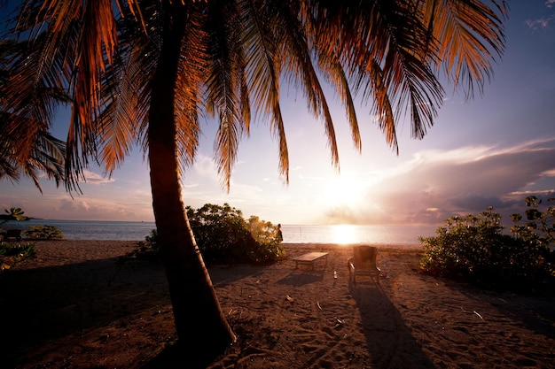 Tropical Beach