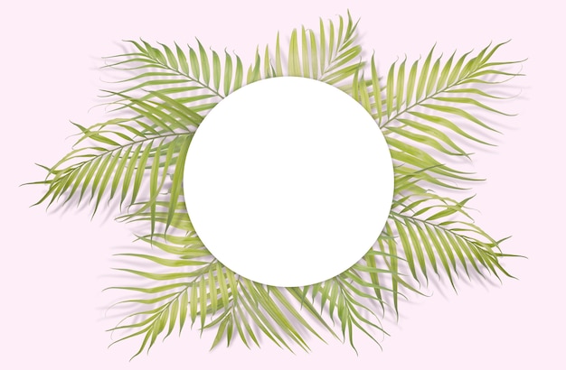Tropical hojas de palma con papel blanco sobre fondo de color rosa. Naturaleza mínima. Estilo De Verano. Tumbado