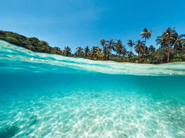 Tropical Island Palm und Unterwasser