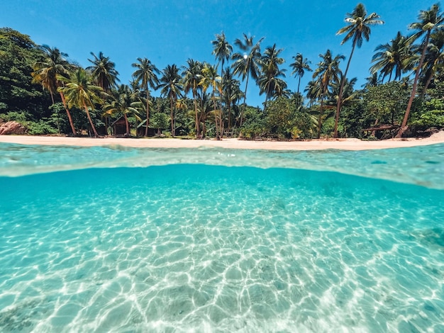 Tropical Island Palm und Unterwasser