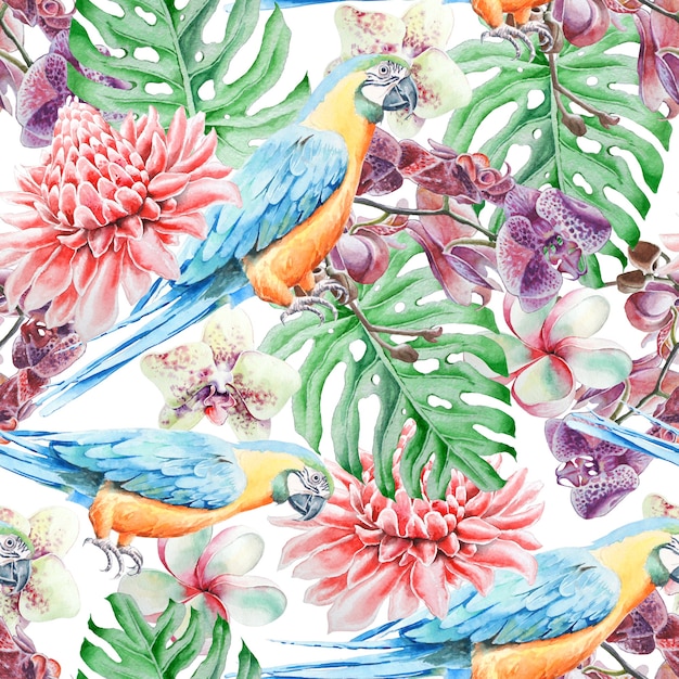Tropical de patrones sin fisuras con hojas de pájaros y flores. Loro. Etlingera. Monstera. Orquídea. Ilustración de acuarela. Dibujado a mano.