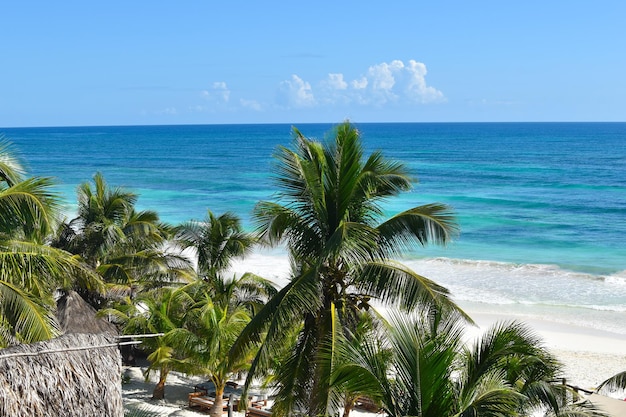 tropisch sommer natur meer landschaft ort zum entspannen unter palmen