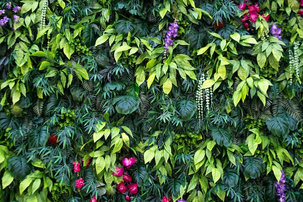 Tropische Blätter und Blumen Hintergrund. Naturhintergrund des vertikalen Gartens mit tropischem grünem Blatt