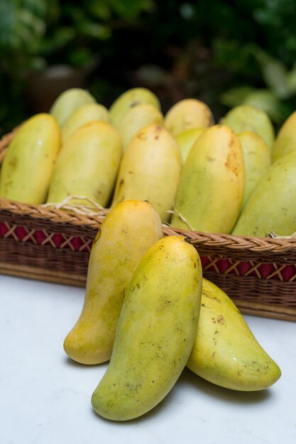 Tropische Frucht der Mango im hölzernen Korb